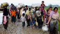 Int'l community urged to step up efforts to help Rohingya