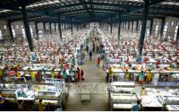Bangladesh exports grow 12.6% on strong apparel earnings