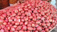 Take immediate steps to control onion price: Rights body   