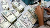 Forex reserves hit record high over $39 billion