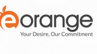 Former owner, CEO of E-orange placed on two-day remand