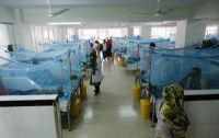 Dengue: 275 new patients hospitalized, no fresh death