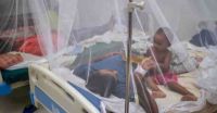 60 more dengue patients hospitalised in 24hrs