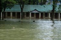 DGHS: Flood death toll now 121